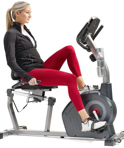 Sunny Health & Fitness Elite Interactive Series Exercise Recumbent Bike - SF-RB420046
